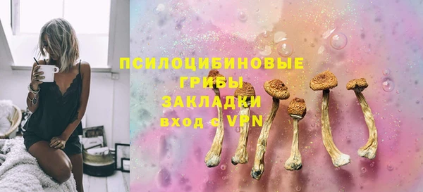 сатива Осташков