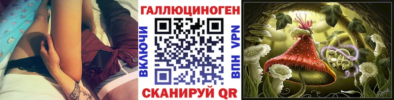 купить наркоту  KRAKEN сайт  Галлюциногенные грибы Psilocybe  Хилок 